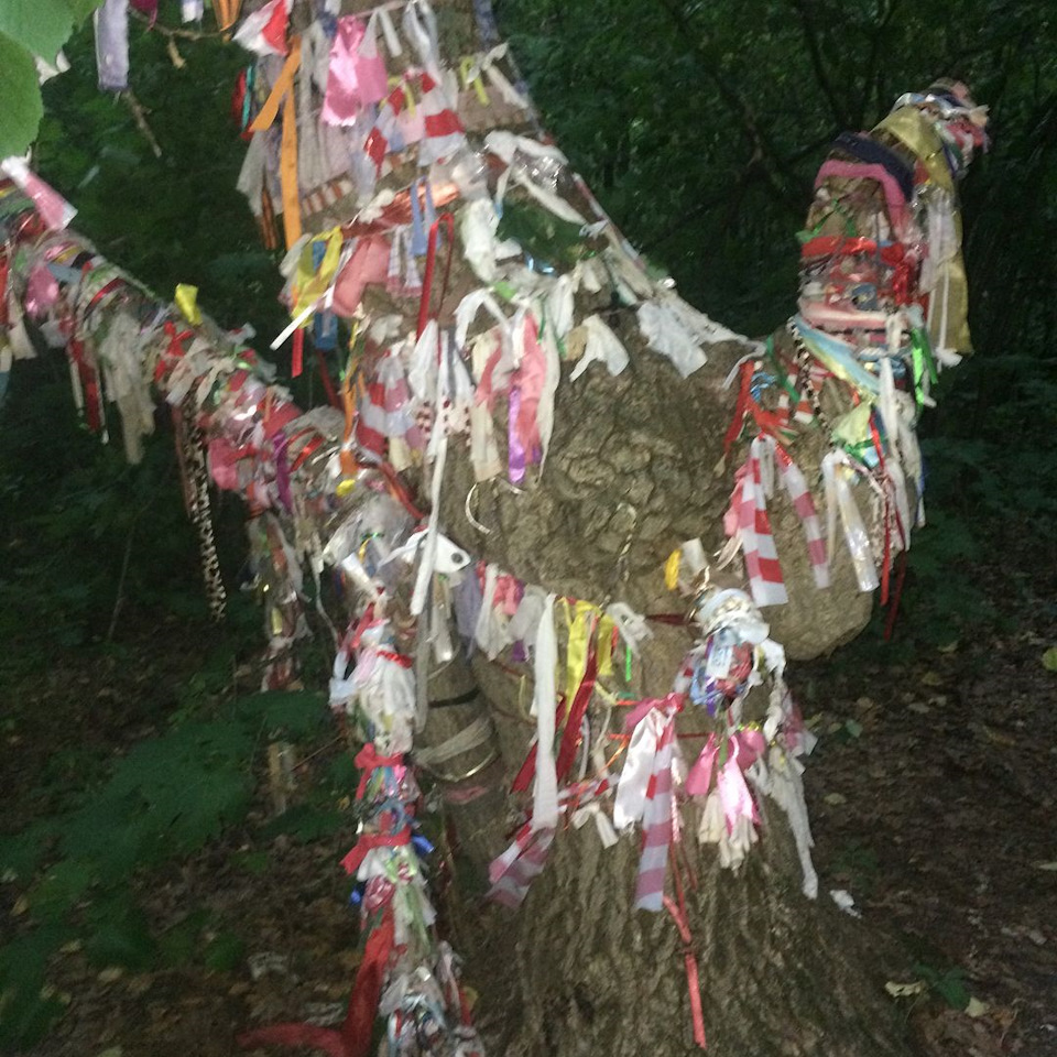 Дерево желаний — Honda Element