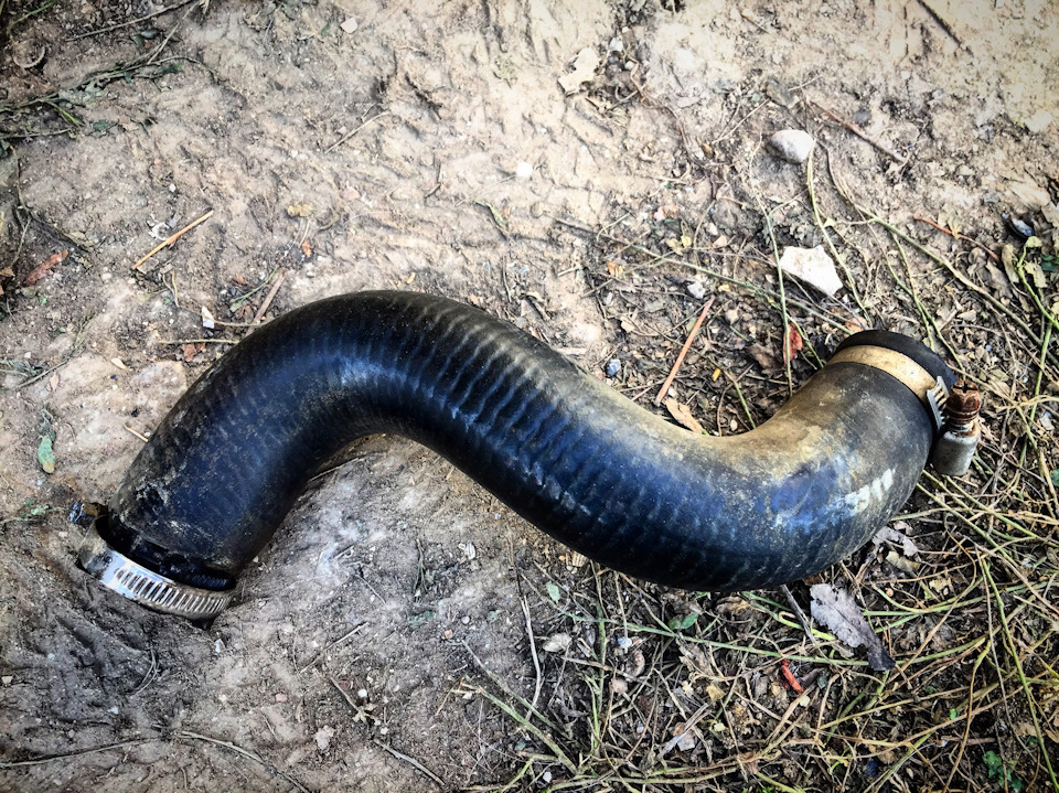 Потек патрубок радиатора (ремонт) — Chevrolet Niva, 1,7 л, 2006 года ...