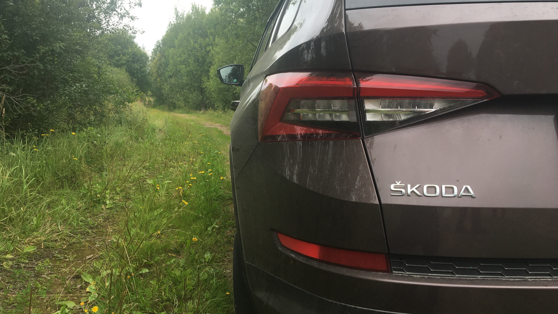 Skoda Kodiaq 2.0 бензиновый 2018 | Бурый Турбо-Миша 2.0 4х4 на DRIVE2