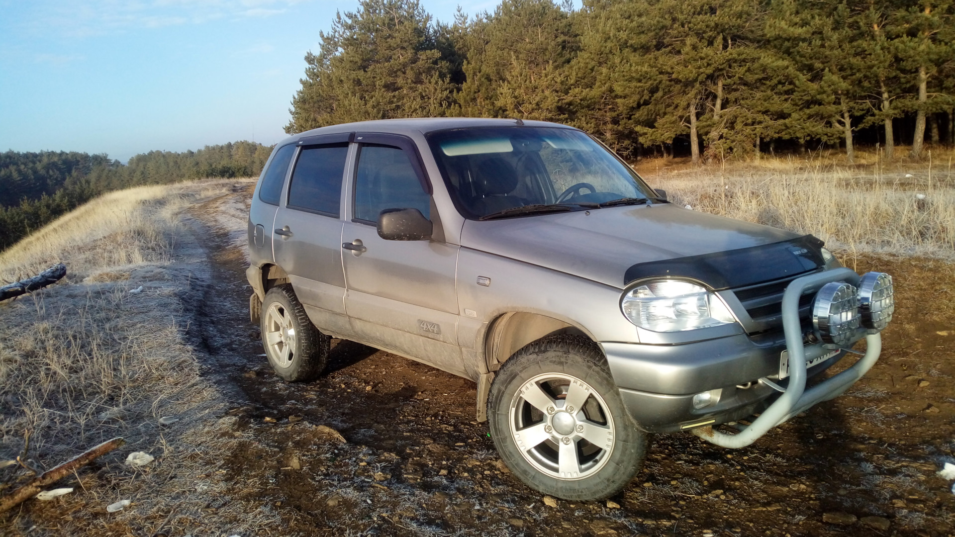 Chevrolet Niva GLX 1.7 гибридный 2009 | Шнива 4х4 на DRIVE2