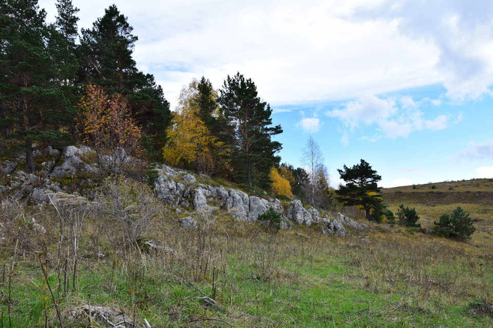 Фото в бортжурнале Renault Duster (1G)