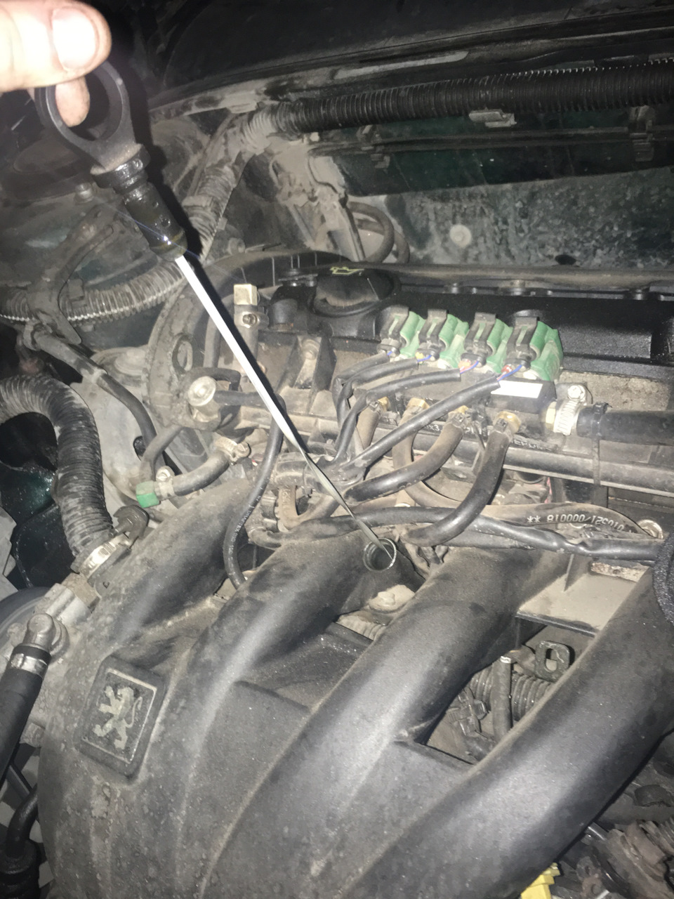 Расход масла — Peugeot 406, 2 л, 1998 года | расходники | DRIVE2