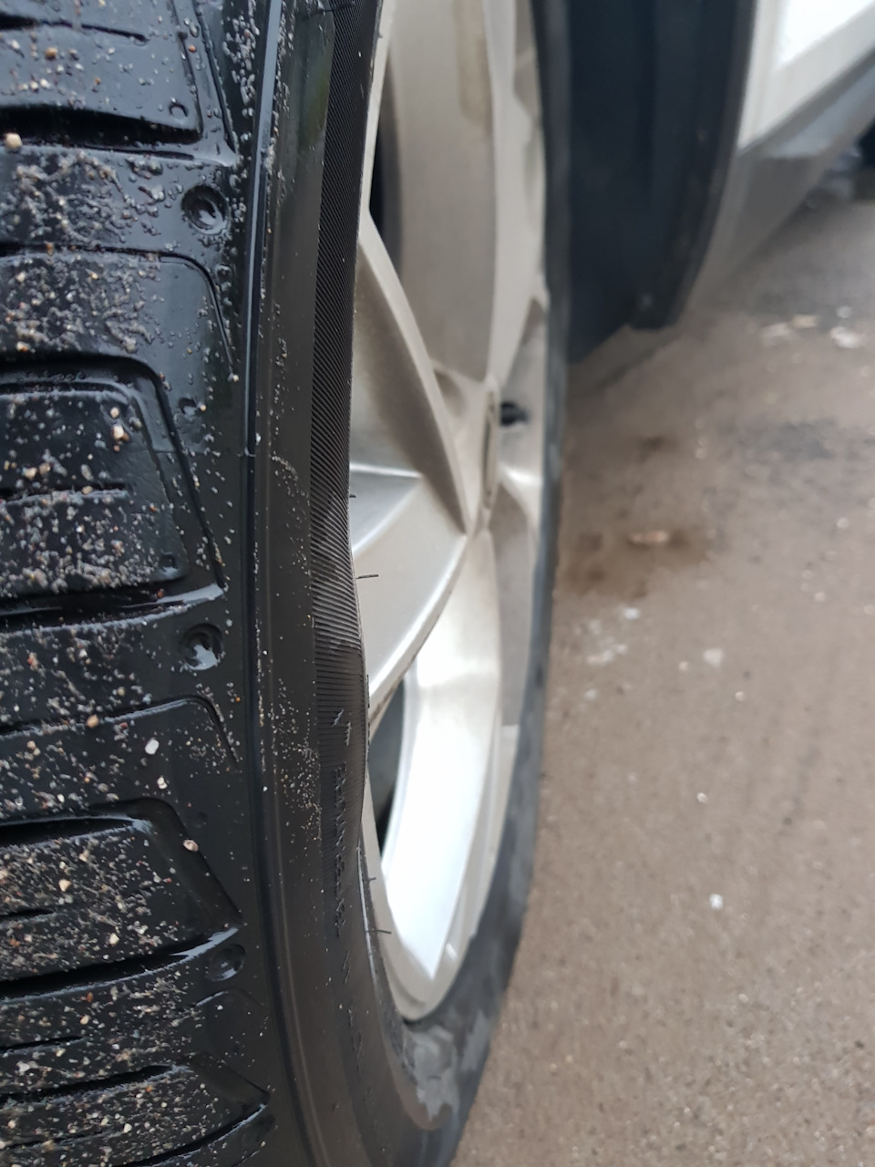 Медведь лапу прищемил — Skoda Kodiaq (1G), 2 л, 2017 года | шины | DRIVE2