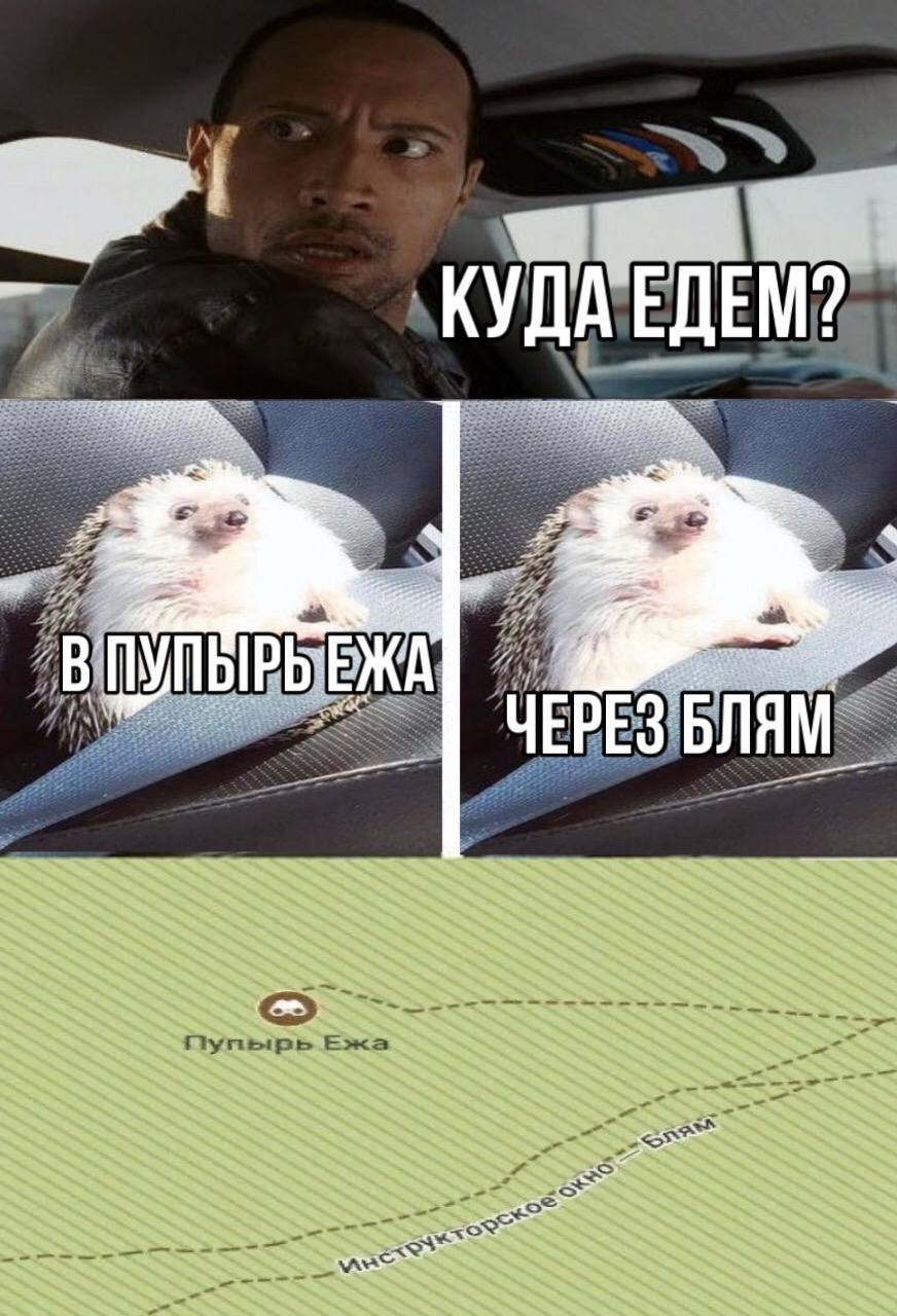 Пупырь ежа смотровая площадка. Пупырь ежа через блям. Похоронил ежика мем. Пупырь ежа на карте. Пупырь ежа на карте.