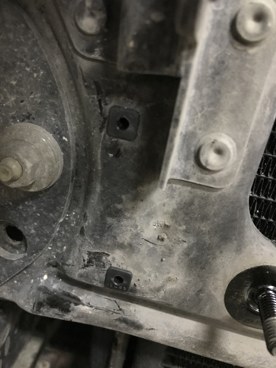 Как родные становятся пистоны от номера для винтов — BMW 3 series (E46)