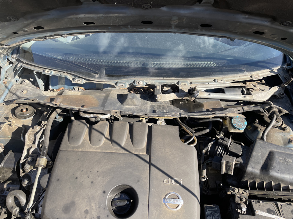 Фото в бортжурнале Nissan Primera (P12)