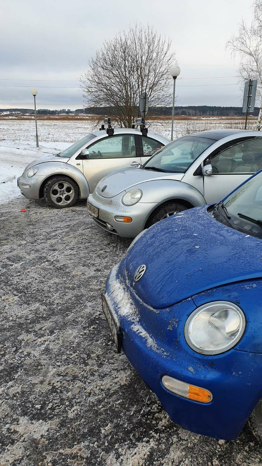 Рождественское жукопутешествие в Беловежскую пущу 🌲🌲🌲 — Volkswagen New  Beetle, 2 л, 1999 года | путешествие | DRIVE2