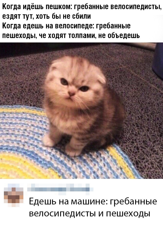 Сделать, смешные картинки с надписями свежие 2019