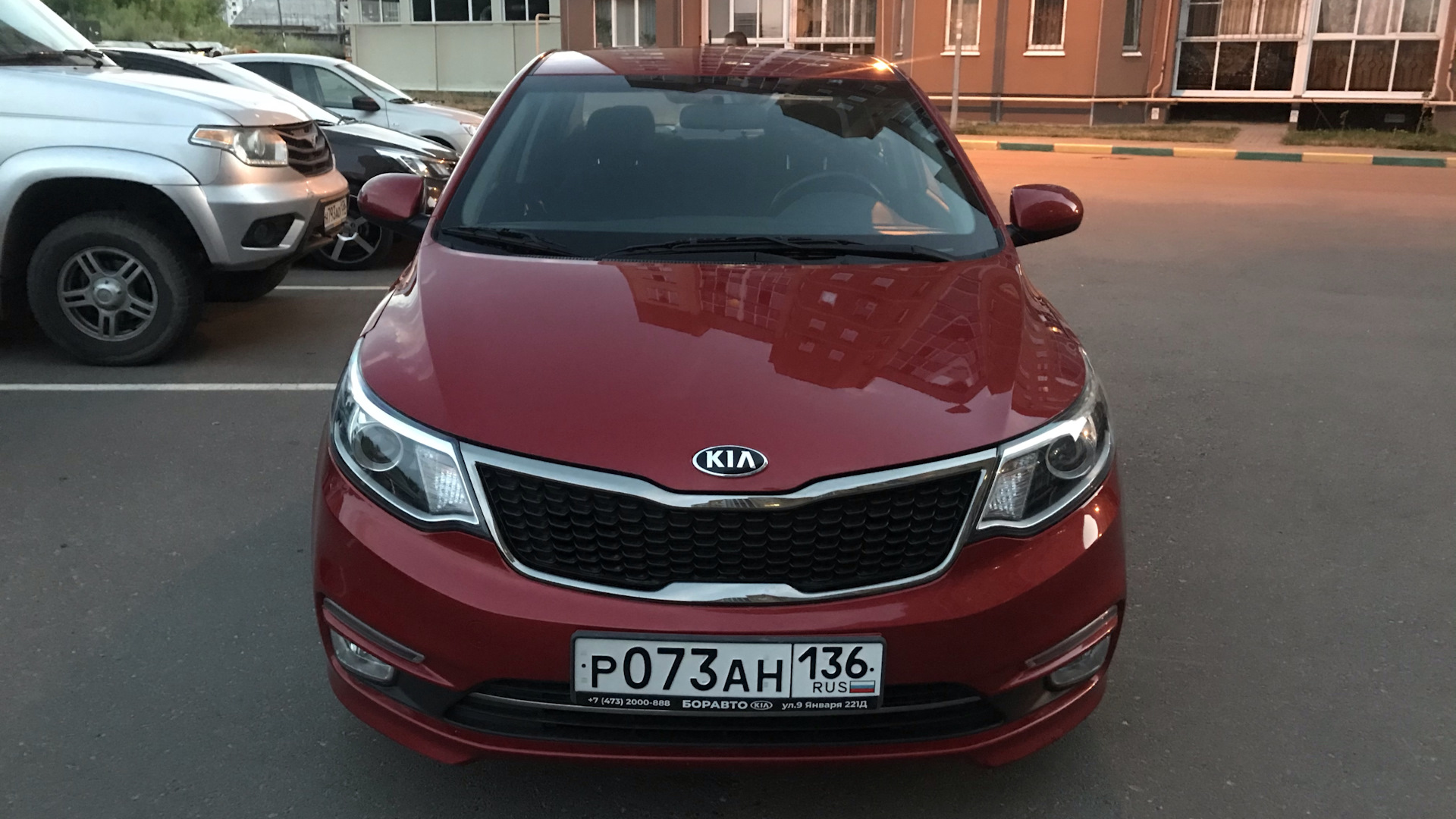 KIA Rio (3G) 1.6 бензиновый 2016 | Рубин на DRIVE2