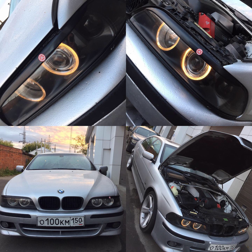 ☀️Полиуретановая пленка, штрафы, оригинальные аксессуары bmw☺️ — BMW 5  series (E39), 4,4 л, 2000 года | аксессуары | DRIVE2