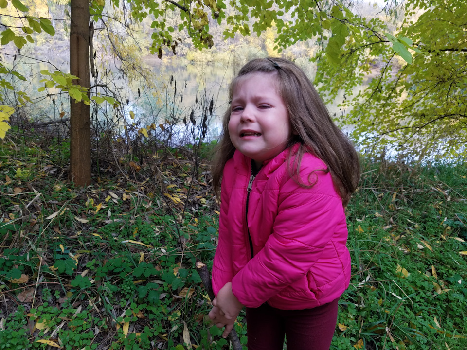 Фото в бортжурнале Volkswagen Caravelle (T3)