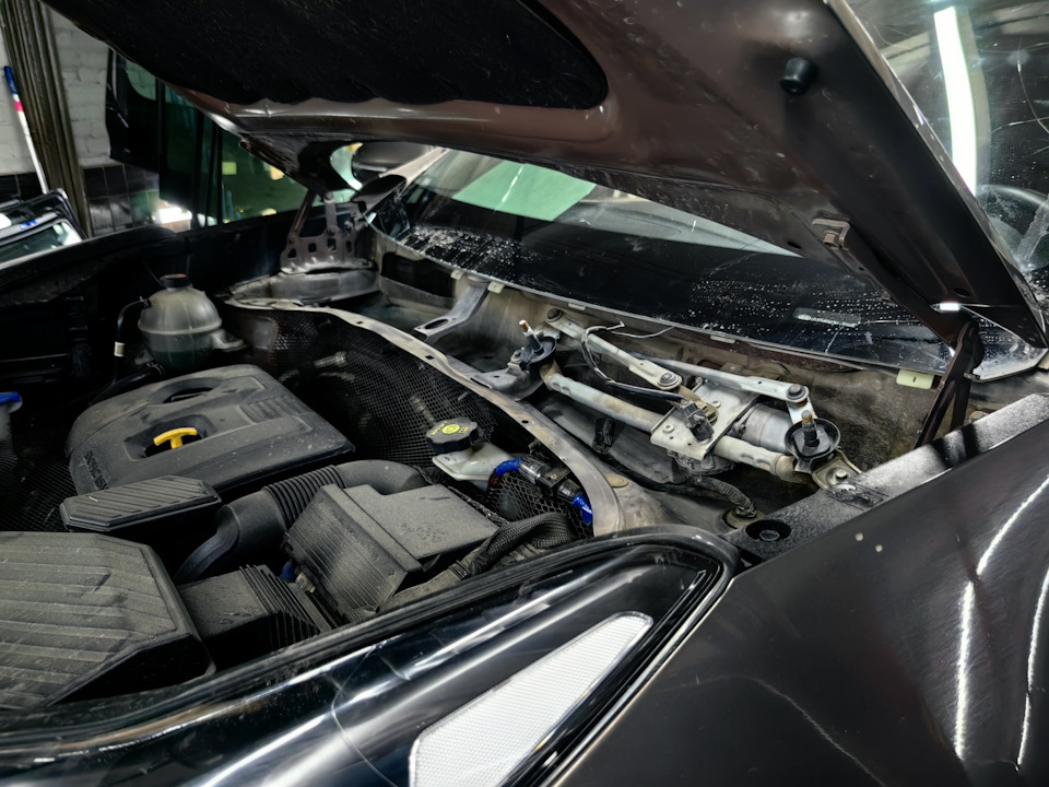 Фото в бортжурнале KIA Sportage (4G)