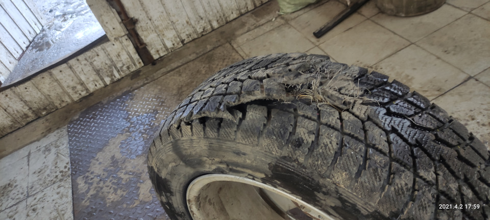 Зимняя резина TOYO R18 — Volkswagen Touareg (1G), 3,2 л, 2005 года ...
