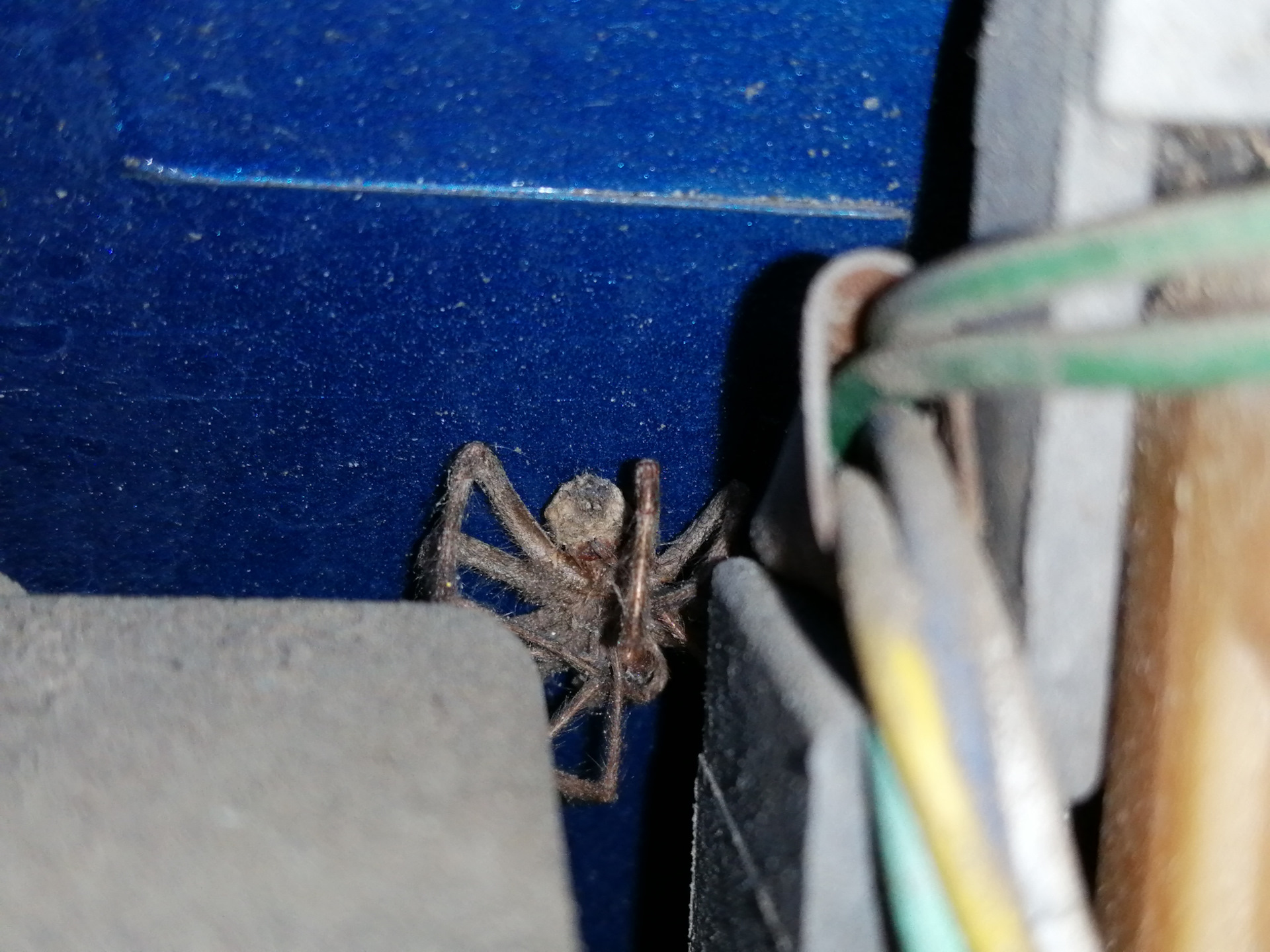 Замена боковых зеркал заднего вида_/// — Subaru Legacy (BD/BG/BK), 2 л ...