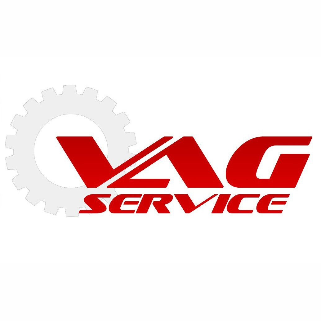 Ооо в е г. VAG сервис. Ваг сервис логотип. Автосервис VAG. Логотип автосервиса.