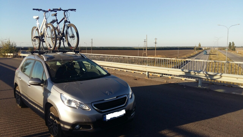 Peugeot 2008 shop bike rack