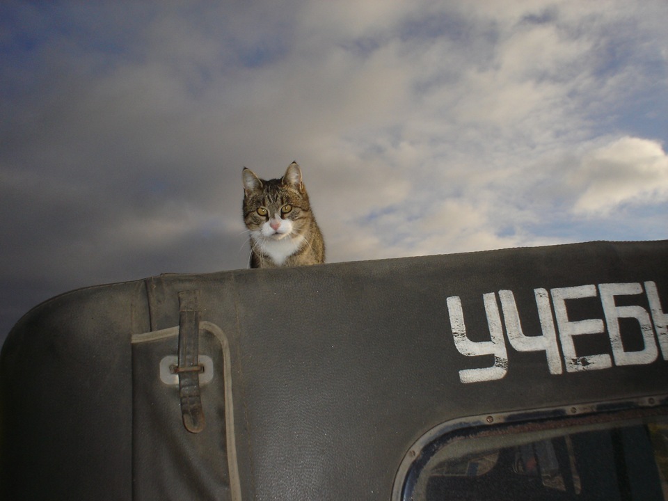 Времечко летит — Audi A8 (D2), 2,5 л, 2000 года | просто так | DRIVE2