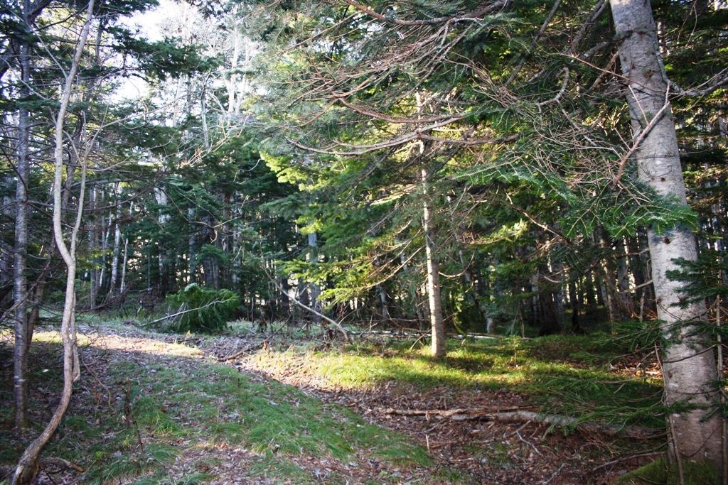 Фото в бортжурнале Nissan Safari (Y60)