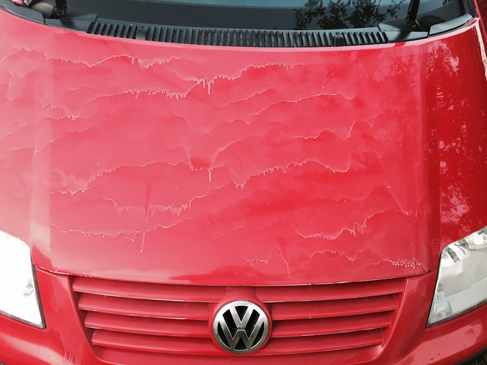 Защитная полироль PINGO — Volkswagen Sharan (1G), 1,9 л, 2003 года ...