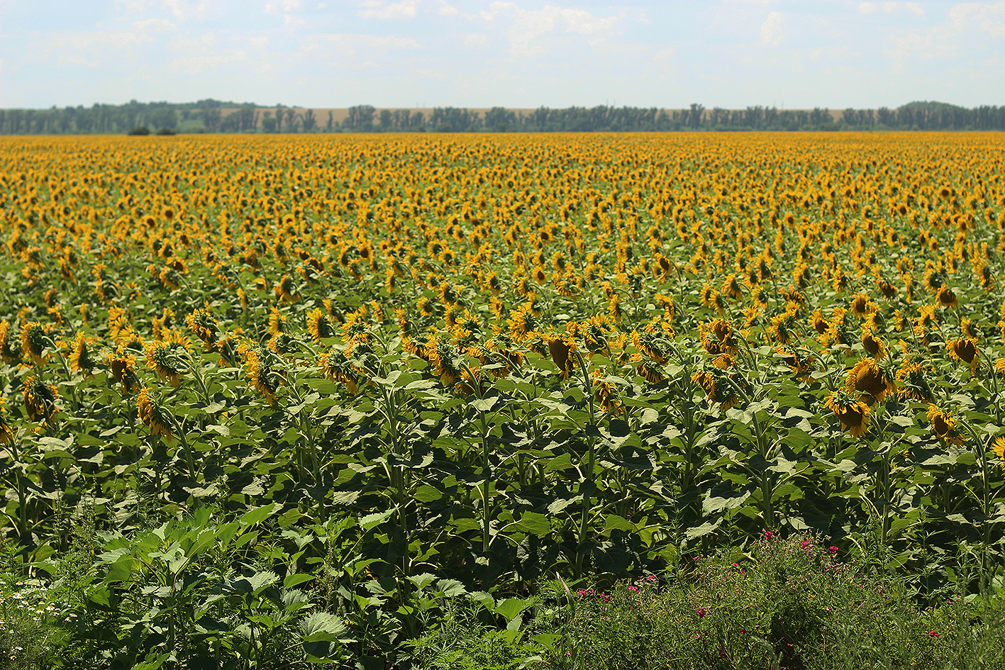 Москва-Ставрополь-Сочи — KIA Rio 5-door (2G), 1,4 л, 2011 года ...