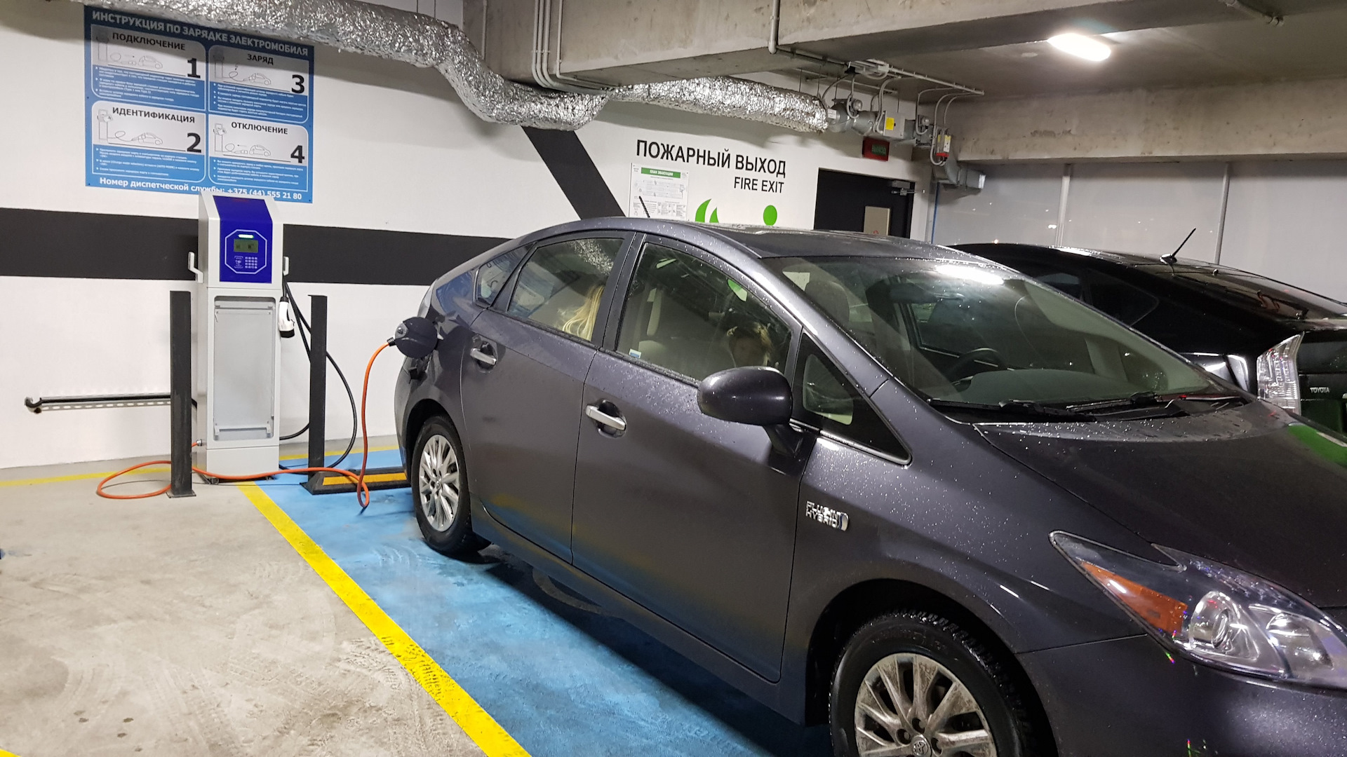 Toyota Prius 1.8 Plug-in Hybrid. Тойота Приус 1.8 гибрид. Приус автодом. Как заряжается Тойота Приус.