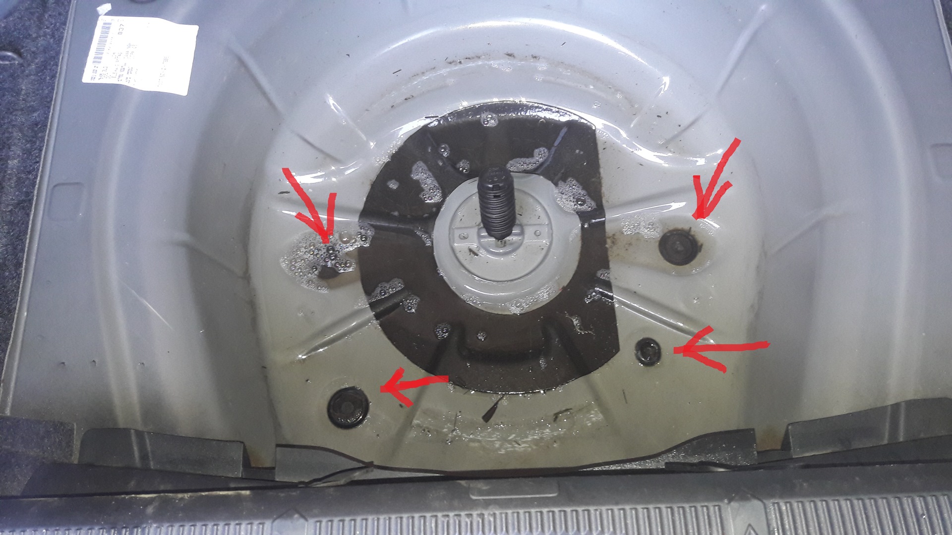 вода в багажнике шкода октавия а5 причины