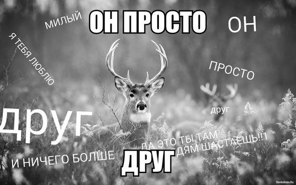 Фото для просто друга мем