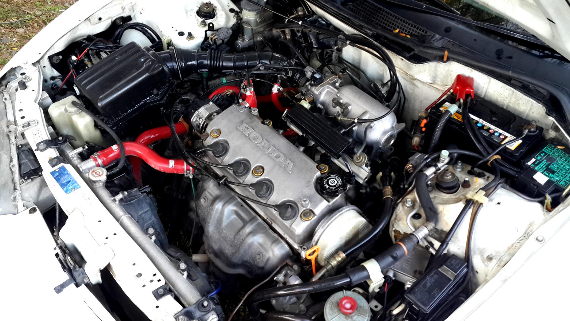Двигатель дб. Honda Integra db6 подкапотка. Двигатель Хонда Интегра 1995. ДВС Хонда Интегра 1.6. Двигатель Хонда Интегра дб8.