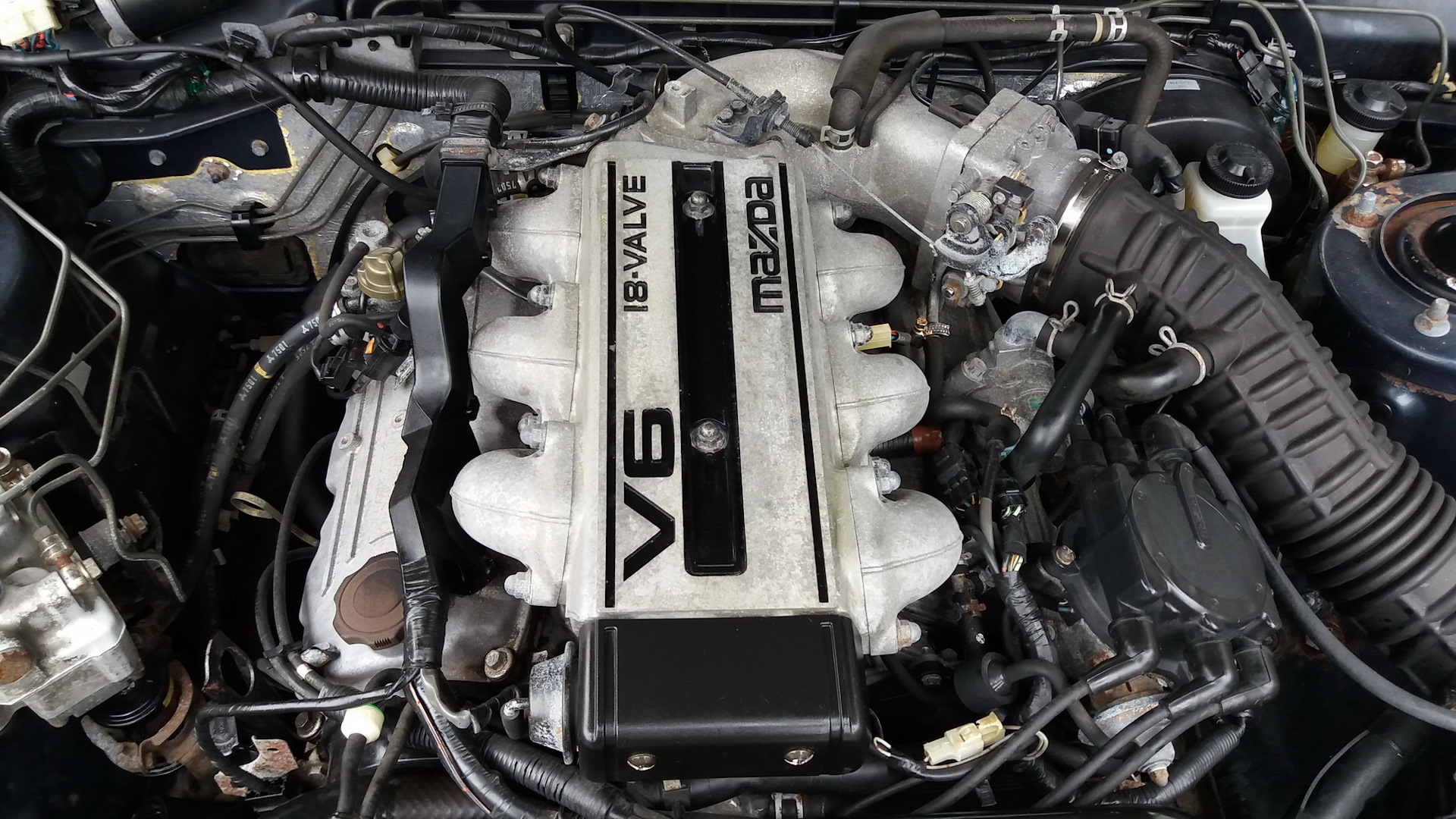 3.0 L V6 L81 Двигатель Купить