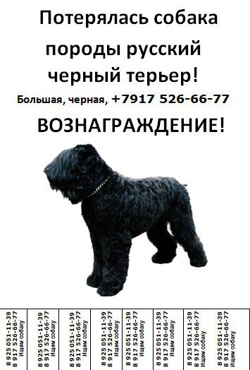 Delphi developer\'s
