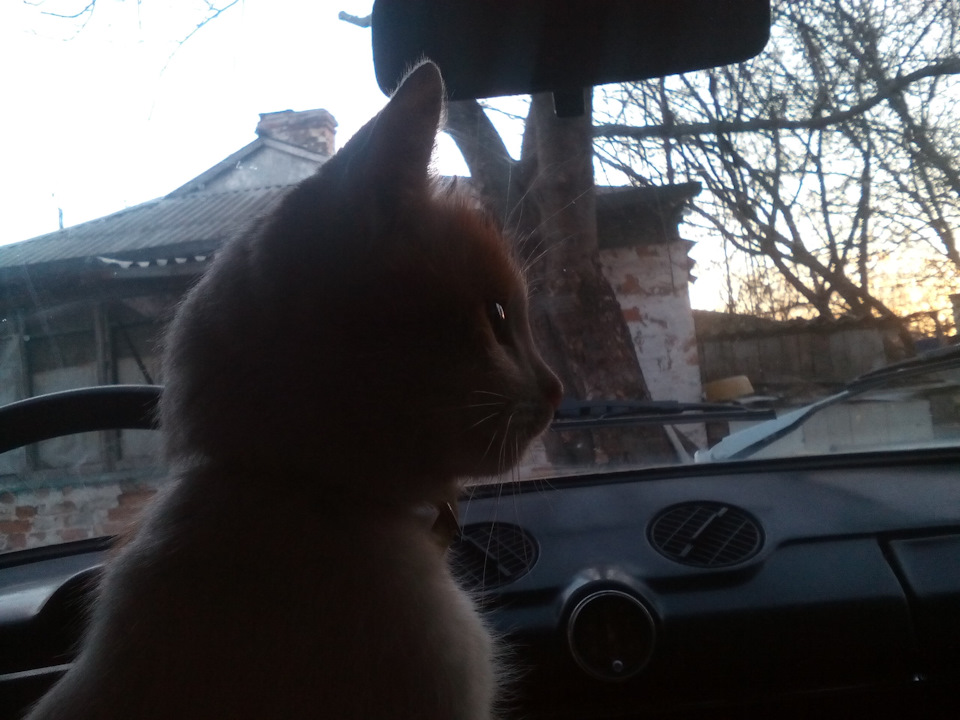 Эпопея "тосол в масле". Эпизод 1. — Lada 2106, 1,5 л, 1976 года ...