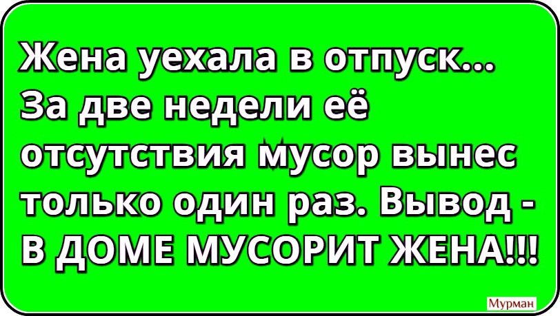 Картинка жена уехала в отпуск