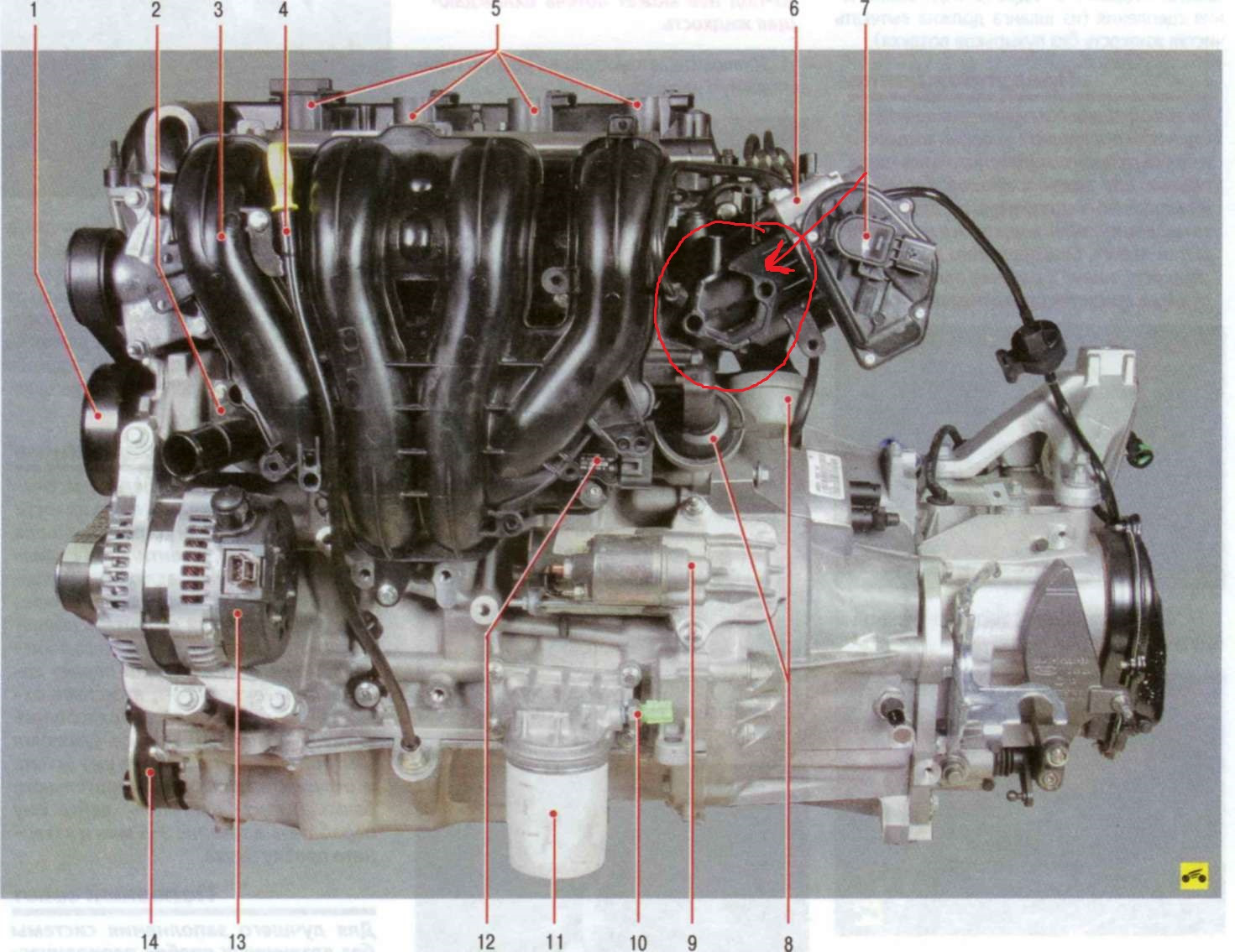 Форд фокус 2 хэтчбек двигатель