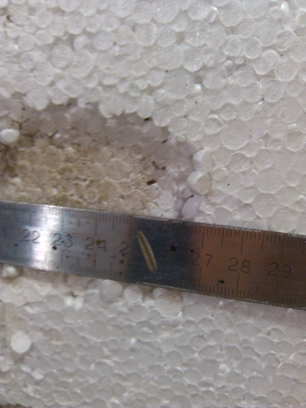 10.5 — Suzuki Samurai