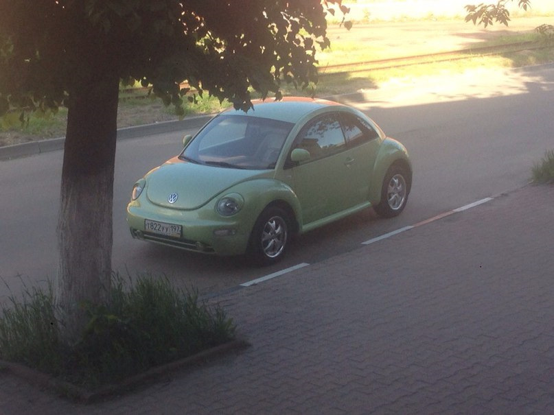 Немного фото маленького друга семьи =) — Skoda Octavia A7 Mk3