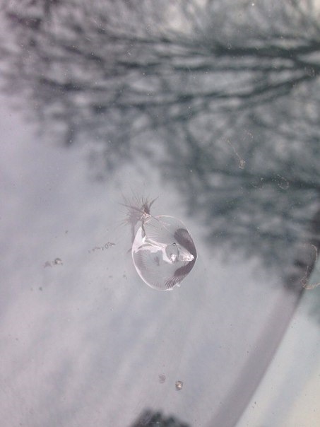 Прилетел камень в лобовое стекло… — Daewoo Gentra, 1,5 л, 2013 года ...