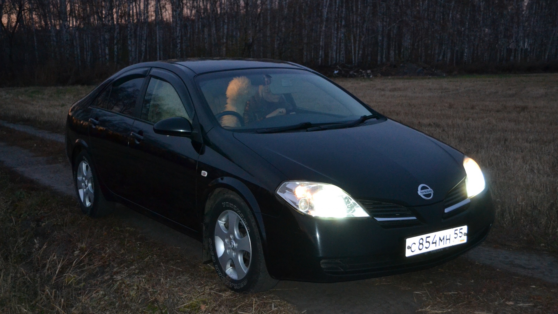 Nissan Primera (P12) 2.0 бензиновый 2002 | черная 