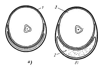 Как называется костюм летчика истребителя. Смотреть фото Как называется костюм летчика истребителя. Смотреть картинку Как называется костюм летчика истребителя. Картинка про Как называется костюм летчика истребителя. Фото Как называется костюм летчика истребителя Как называется костюм летчика истребителя. Смотреть фото Как называется костюм летчика истребителя. Смотреть картинку Как называется костюм летчика истребителя. Картинка про Как называется костюм летчика истребителя. Фото Как называется костюм летчика истребителя