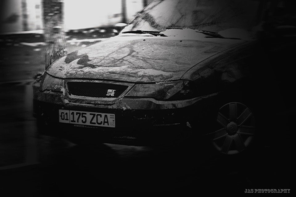 Вот и первая зима для Кармелы, приходится все время мыть ее чистить ...