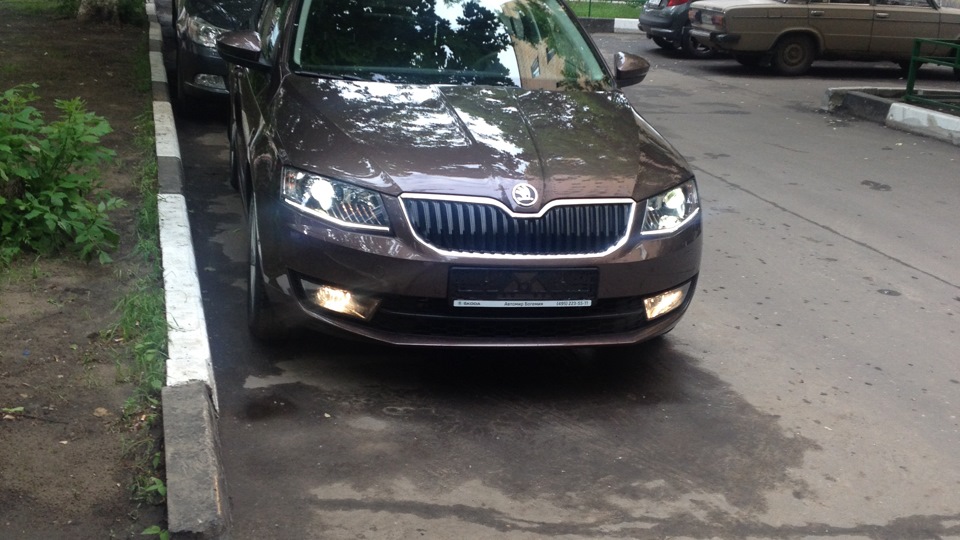 сетка — Skoda Octavia A7 Mk3, 1,4 л, 2014 года | плановое ТО | DRIVE2