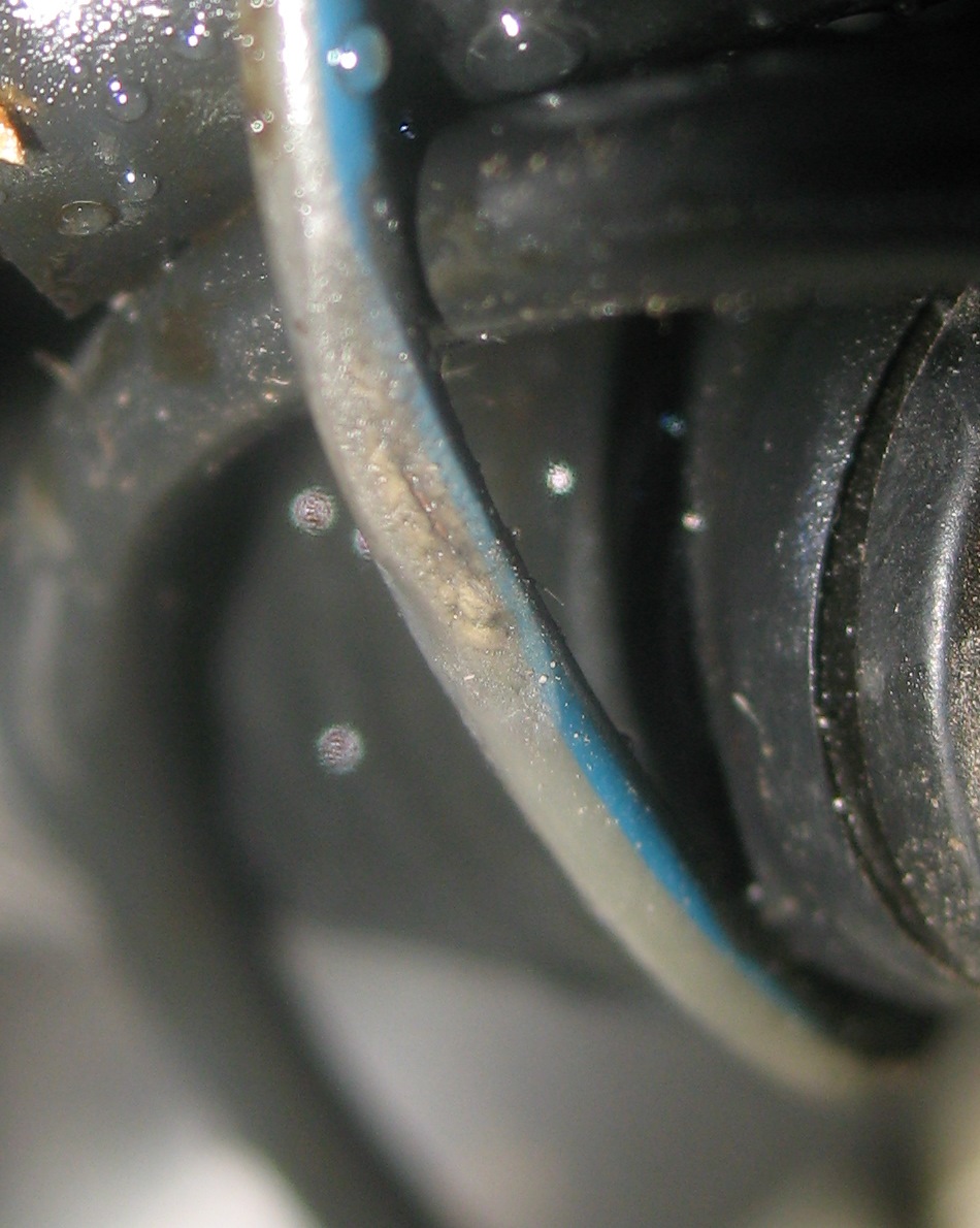 мигающая лампочка масла — Lada Калина универсал, 1,6 л, 2011 года ...