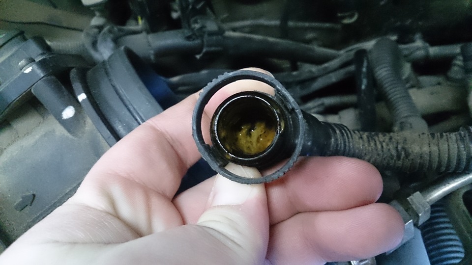 ожидали большего, приятно мало чачи ))) — Audi A6 (C5)