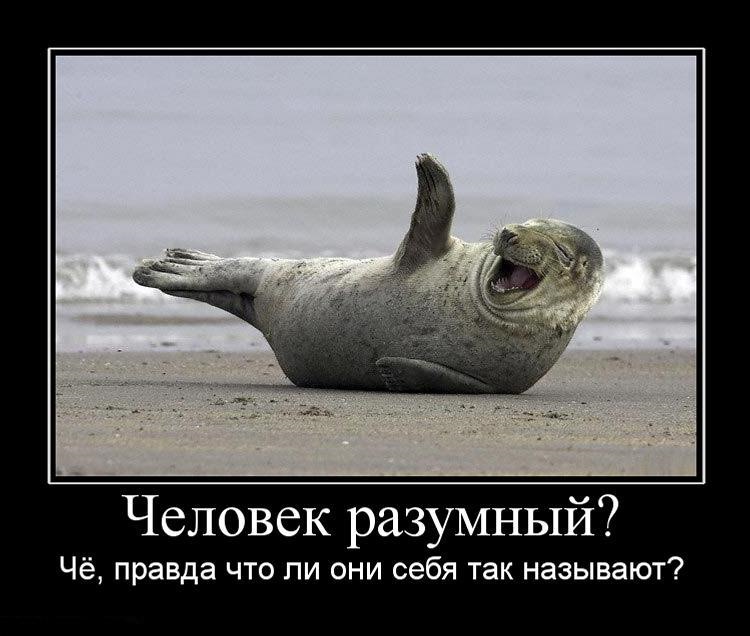 Улыбашки))))) — DRIVE2
