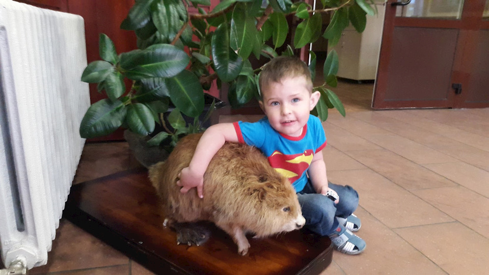 Фото в бортжурнале Audi Cabriolet (B4)