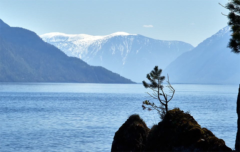 Телецкое озеро в мае фото