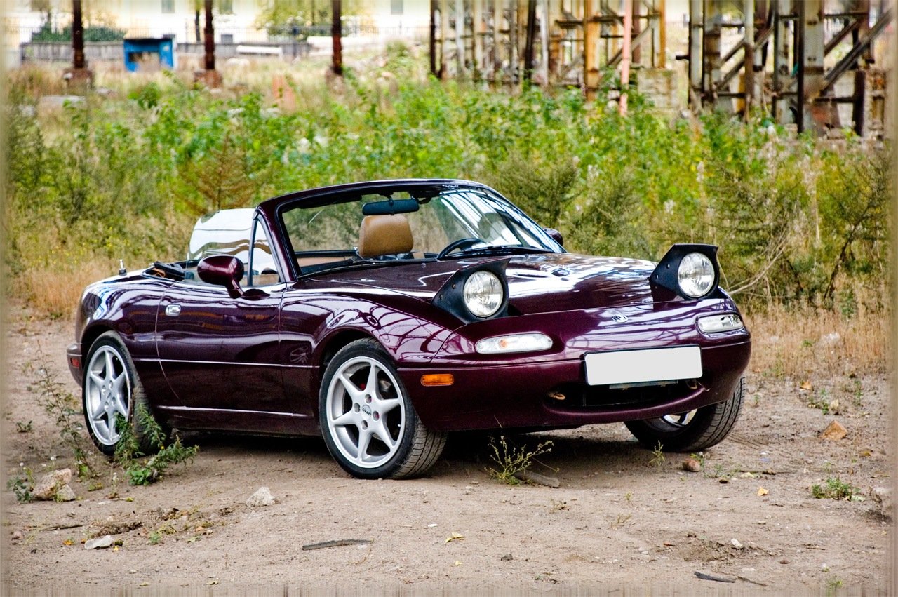 MX 5 Simpson