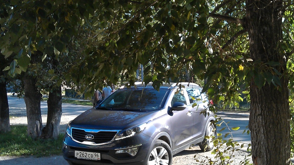 Купить Kia Sportage в Белой Церкве: $ | Киа Sportage на logogrif.ru ()xx