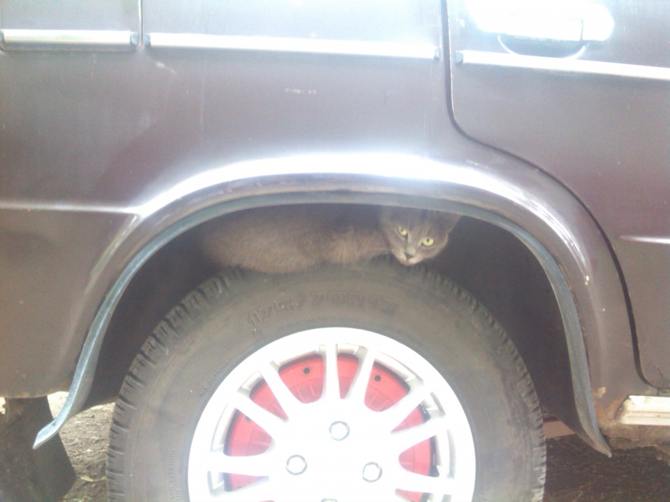 Photo from the logbook Lada 21063