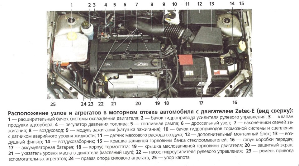 Схема подкапотного пространства форд фокус 2