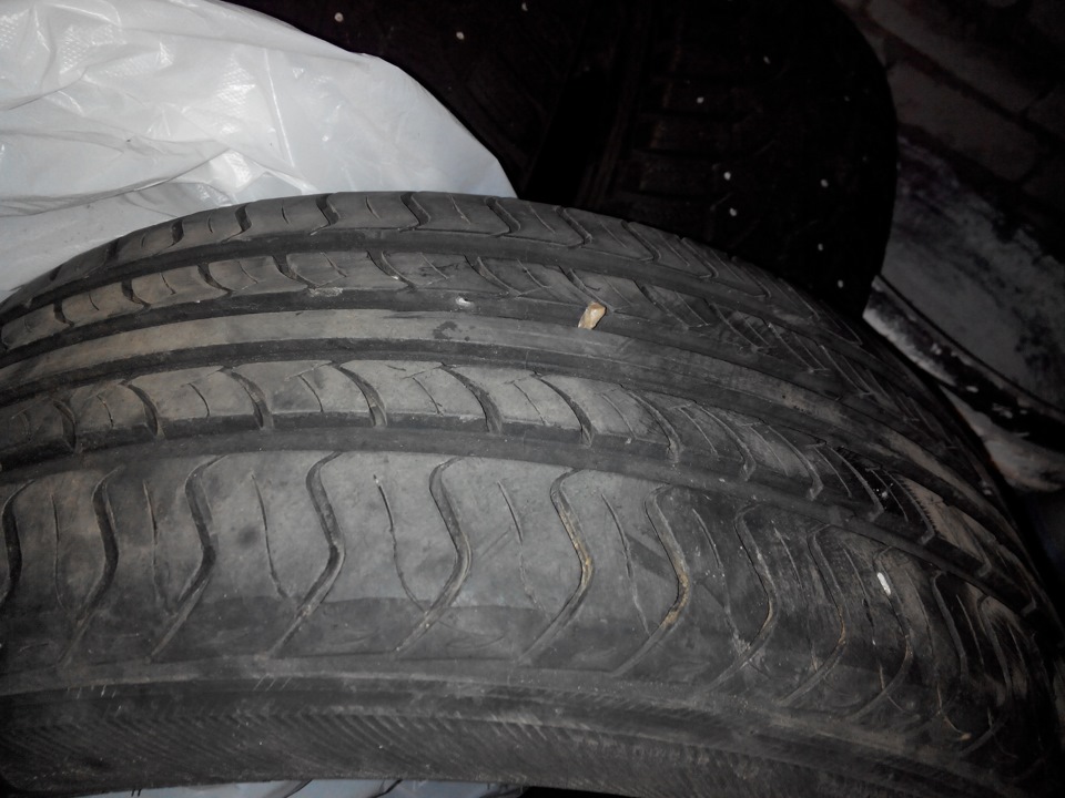 Продаю лето Nexen CP (205/55 R16) — Mazda 6 (1G) GG, 2 л, 2007 года ...